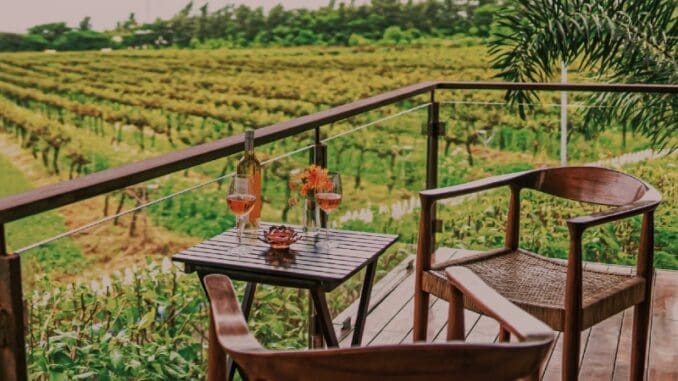 Sula Vineyards Sula Vineyards