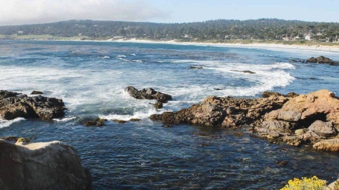 monterey_cover_image